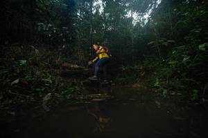 BIB: 
                            <button type="button" onclick="openModal(22486705)" class="btn btn-primary btn-sm float-right btn-popup" data-toggle="modal" data-target=".modal-high-quality">
                        <i class="fas fa-shopping-cart"></i> Add to Cart
                    </button>
                                            <button type="button" onclick="isThisMe(22486705, true)" class="btn btn-success btn-sm float-right btn-popup btn-isme hidden" data-toggle="tooltip" data-placement="bottom" title="นี่คือรูปของคุณใช่ไหม คลิกที่นี่เพื่อเอาเข้าอัลบั้ม">
                        <i class="fas fa-plus"></i> Add to album
                    </button>
                    <button type="button" onclick="isThisMe(22486705, false)" class="btn btn-warning btn-sm float-right btn-popup btn-isnotme hidden">
                        <i class="fas fa-ban"></i> Remove from album
                    </button>